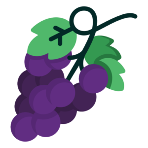 grappolo d'uva vector - il resveratrolo